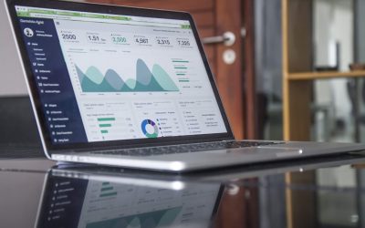 Maximizing Business Growth with StallionInc.com